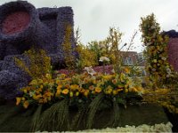 IMG01264