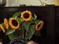 IMG00149
