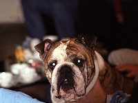IMG00044