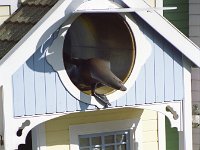 IMG00051