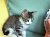 IMG00125
