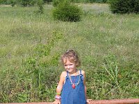 IMG 0781