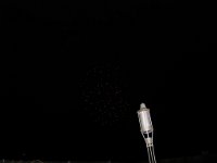 IMG 0840