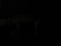 IMG 0860