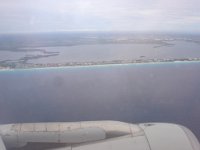 DSC00771