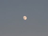 IMG 0236  Moon over Texas