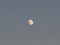IMG 0237  Moon over Texas