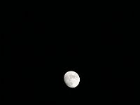IMG 0248  Moon over Texas