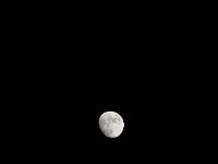 IMG 0249  Moon over Texas
