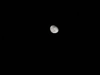 IMG 0346  Moon over Texas