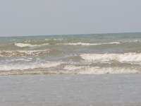 IMG 3644
