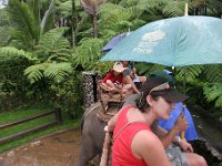 IMG 4109  Elephant Park at Taro