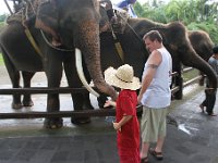 IMG 4118  Elephant Park at Taro