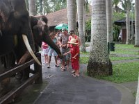 IMG 4119  Elephant Park at Taro