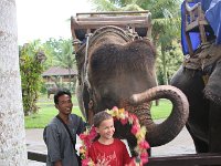 IMG 4121  Elephant Park at Taro