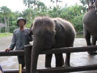 IMG 4123  Elephant Park at Taro