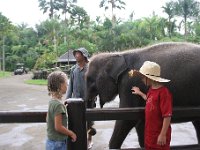 IMG 4125  Elephant Park at Taro