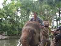 IMG 4128  Elephant Park at Taro