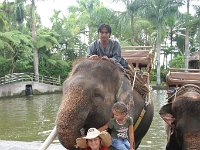 IMG 4129  Elephant Park at Taro