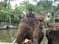 IMG 4130  Elephant Park at Taro