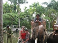 IMG 4131  Elephant Park at Taro