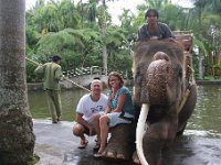 IMG 4132  Elephant Park at Taro