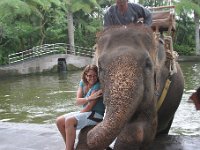 IMG 4135  Elephant Park at Taro