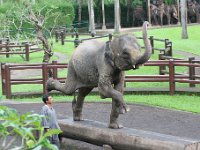 IMG 4145  Elephant Park at Taro
