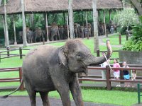 IMG 4148  Elephant Park at Taro