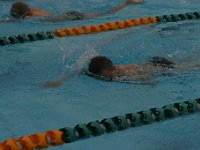 IMG 5483  Stringrays Swim Meet