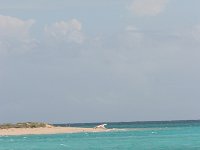 IMG 6210