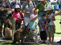 IMG 6992  Healesville Sanctuary