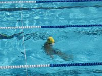 IMG 1110  Stingray Swim Meet