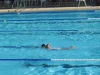 IMG 1111  Stingray Swim Meet