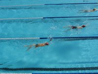 IMG 1123  Stingray Swim Meet