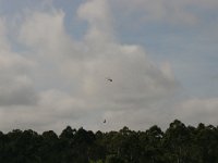 IMG 7227