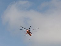 IMG 7233