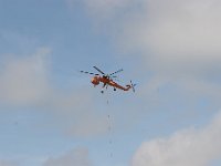 IMG 7237