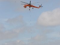 IMG 7238
