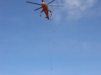 IMG 7343