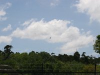IMG 7351