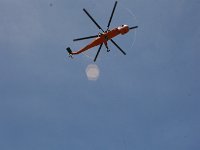 IMG 7364