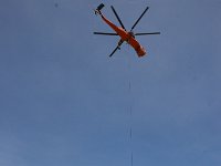 IMG 7366