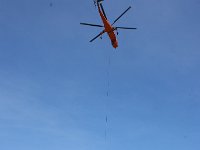IMG 7375
