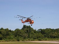 IMG 7381