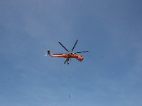 IMG 7485
