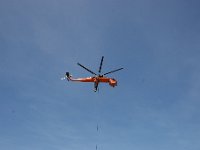 IMG 7486