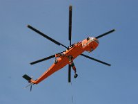 IMG 7497