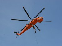 IMG 7500