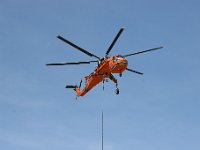 IMG 7503